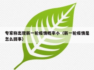专家称出现新一轮疫情概率小（新一轮疫情是怎么回事）