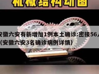安徽六安有新增加1例本土确诊:密接56人（安徽六安3名确诊病例详情）