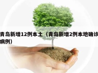 青岛新增12例本土（青岛新增2例本地确诊病例）