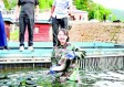 捕鱼大咖破解版绿色版V91.52.6.132安卓系统版本-推荐