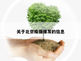 关于北京疫情爆发的信息