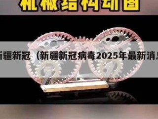 新疆新冠（新疆新冠病毒2025年最新消息）