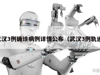 武汉3例确诊病例详情公布（武汉3例轨迹）