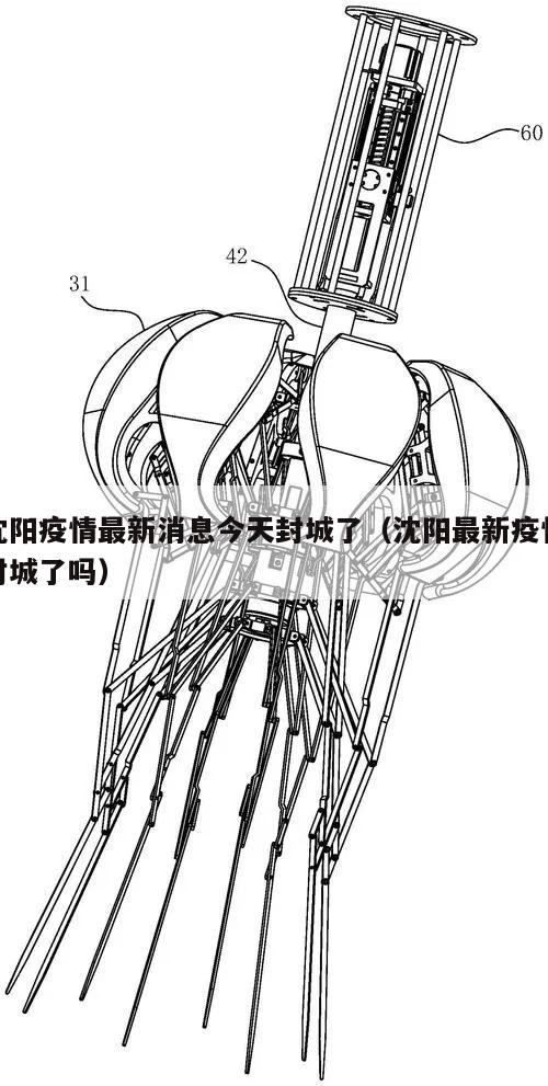沈阳疫情最新消息今天封城了(沈阳最新疫情封城了吗)
