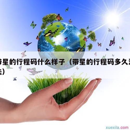 带星的行程码什么样子(带星的行程码多久消失)