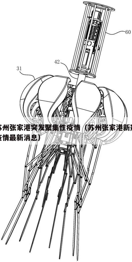 苏州张家港突发聚集性疫情(苏州张家港新冠疫情最新消息)