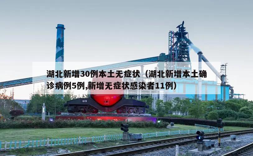 湖北新增30例本土无症状(湖北新增本土确诊病例5例,新增无症状感染者11例)