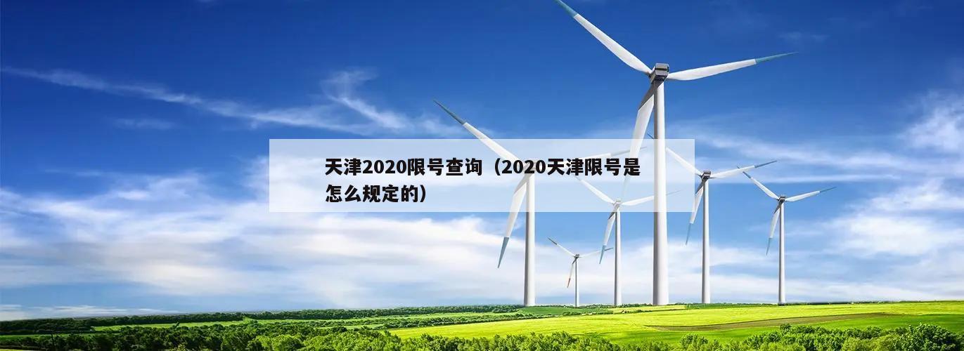 天津2020限号查询(2020天津限号是怎么规定的)
